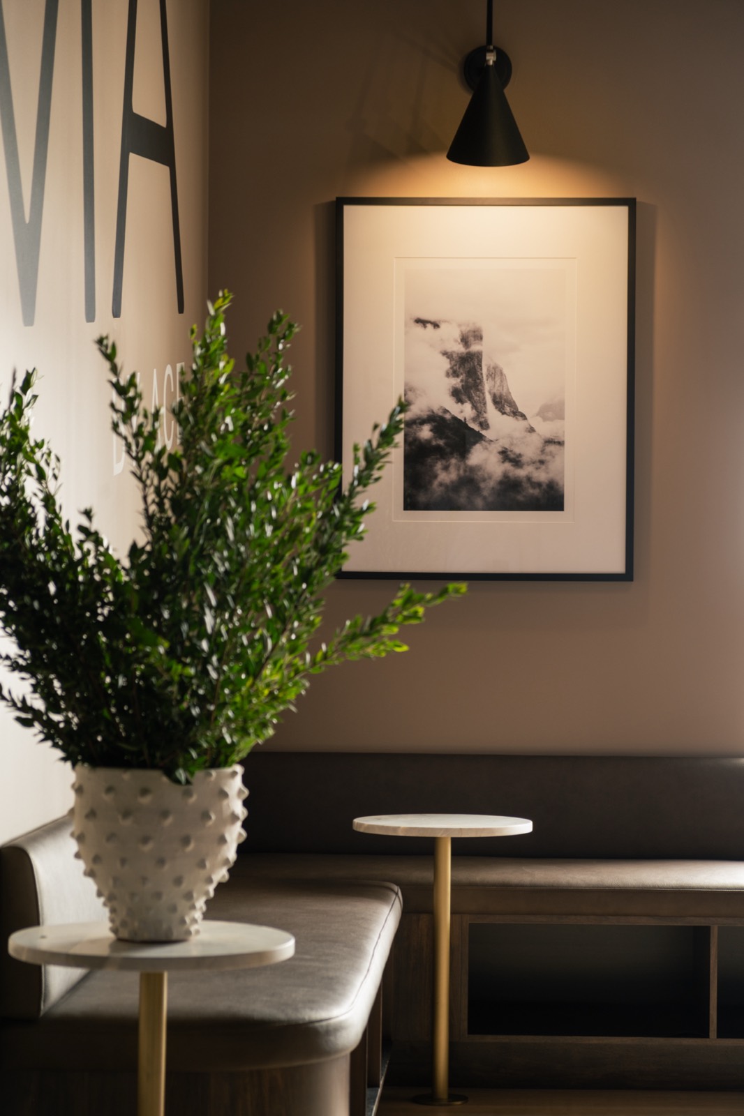 Forma lounge corner with a framed mountain print, plant, and leather bench