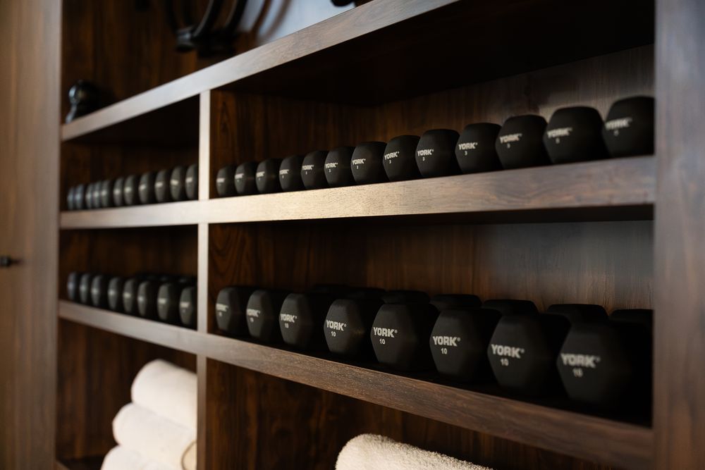 The YORK dumbbell wall and free-weight zone at ACE Performance Gym